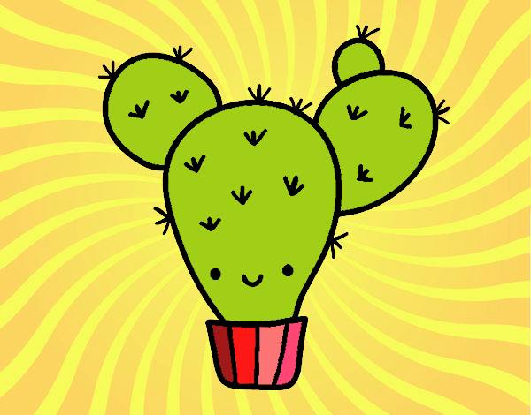 Cactus nopal