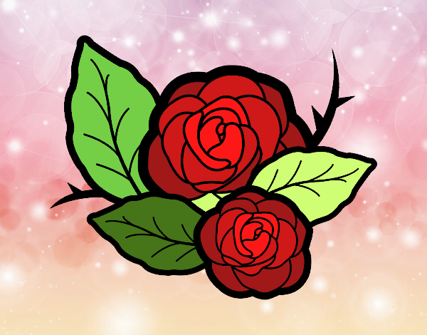 Dos rosas