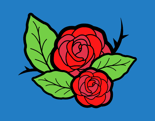 Dos rosas