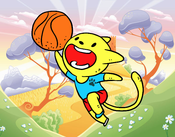 Gato jugando a baloncesto