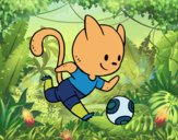 Gato jugando a fútbol