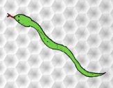 Serpiente venenosa