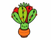 Un cactus con flor