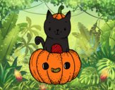 Un gatito de Halloween