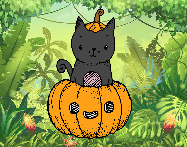 gatito halloween tierno en calabaza