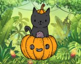 Un gatito de Halloween