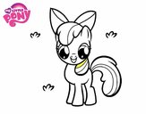 Apple Bloom