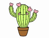 Cactus corazón