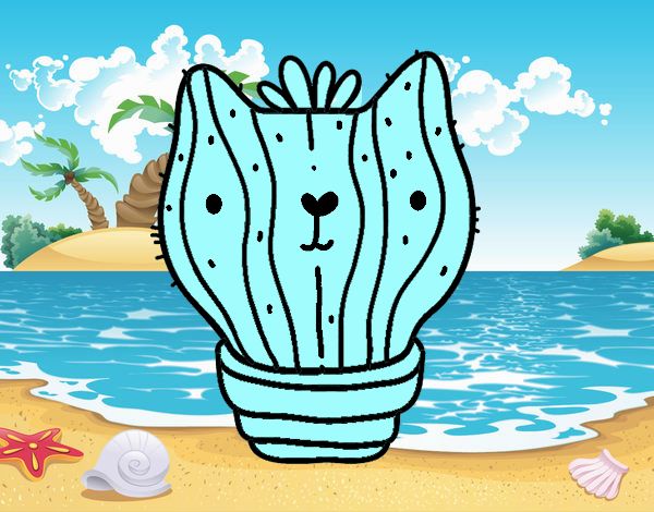 Cactus gato