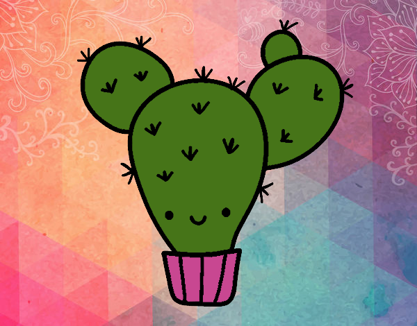 Cactus nopal