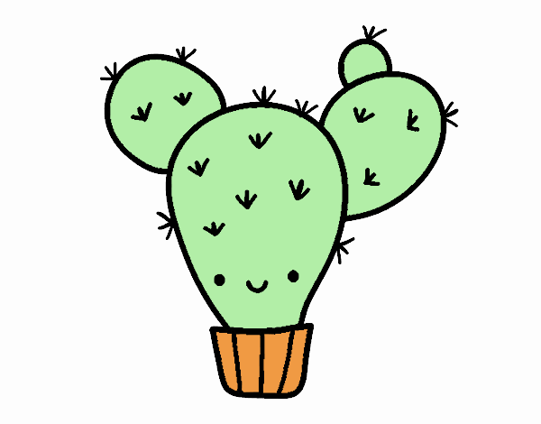 Cactus nopal