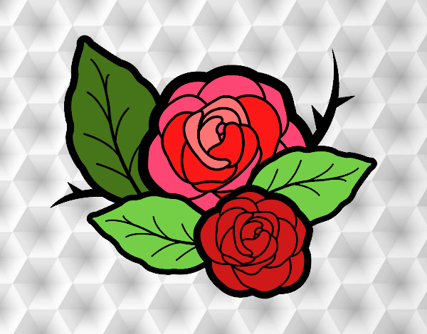 Dos rosas