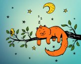 El gato y la luna