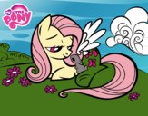 Fluttershy con un conejito