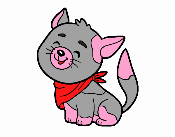 Gato con bandana