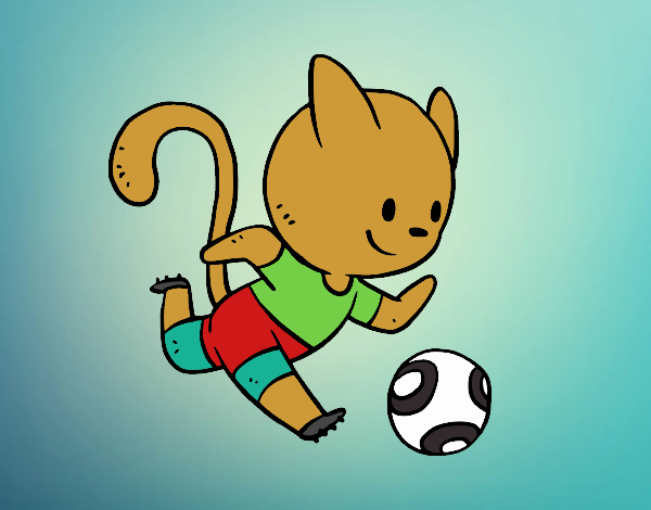 Gato jugando a fútbol