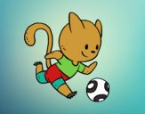 Gato jugando a fútbol