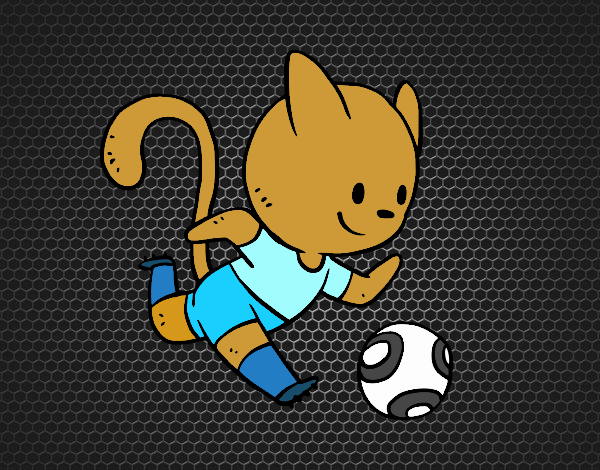 Gato jugando a fútbol