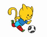 Gato jugando a fútbol