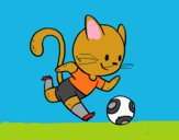 Gato jugando a fútbol