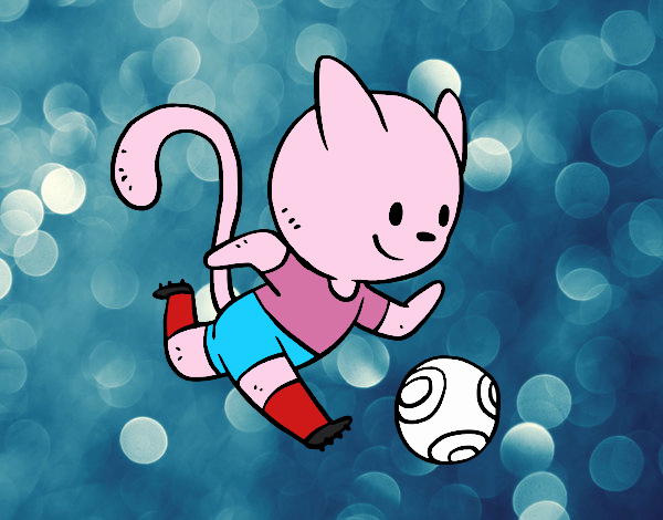 Gato jugando a fútbol