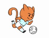 Gato jugando a fútbol