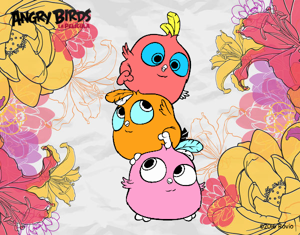 Las crias de Angry Birds