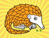 Pangolin