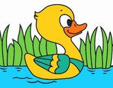 Patito de río