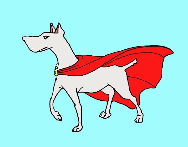 Perro superhéroe