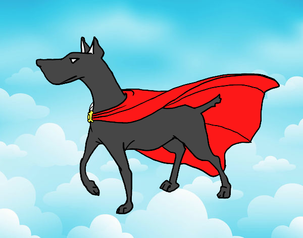 Perro superhéroe