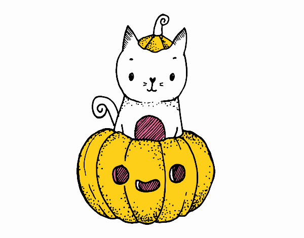 Un gatito de Halloween