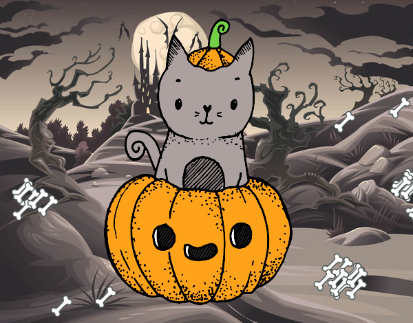 Un gatito de Halloween