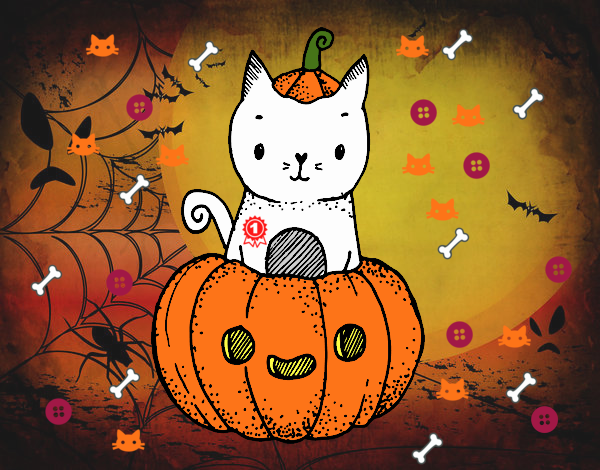 halloween cat