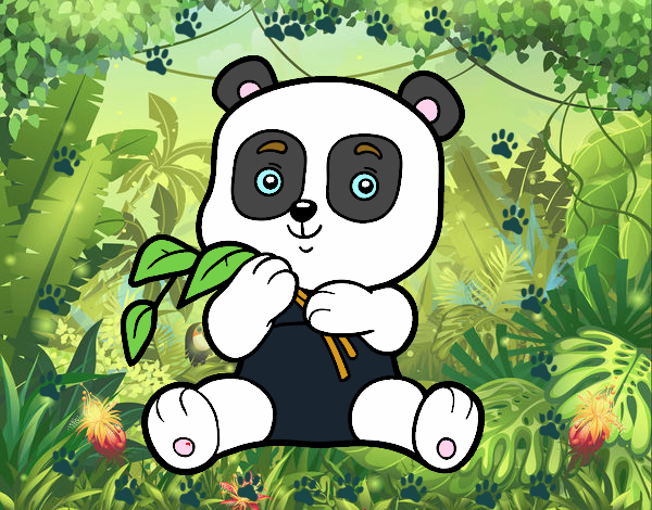 Un oso panda