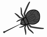 Araña expulsando veneno