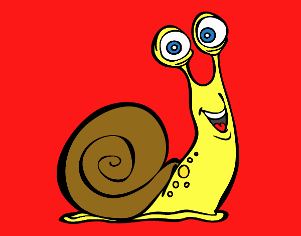 Caracol feliz