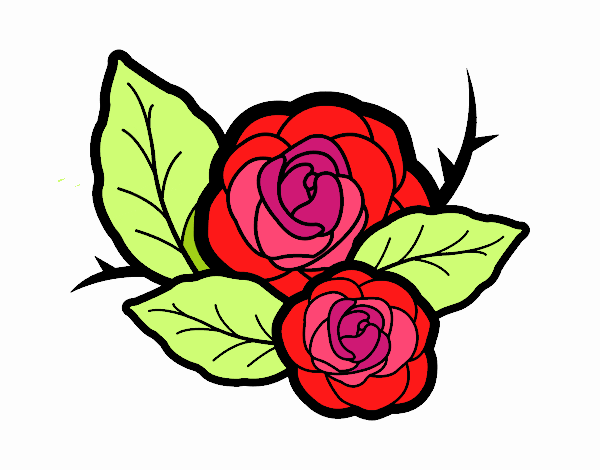 Dos rosas