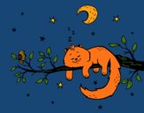 El gato y la luna