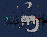 El gato y la luna