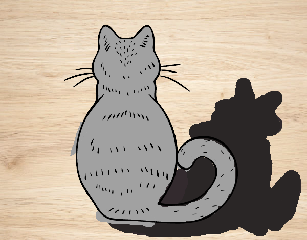 Dibujo de Gato sombra pintado por en  el día 22-12-22 a las  16:30:22. Imprime, pinta o colorea tus propios dibujos!
