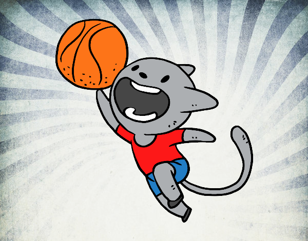 Gato jugando a baloncesto