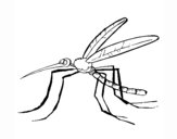 Mosquito 2