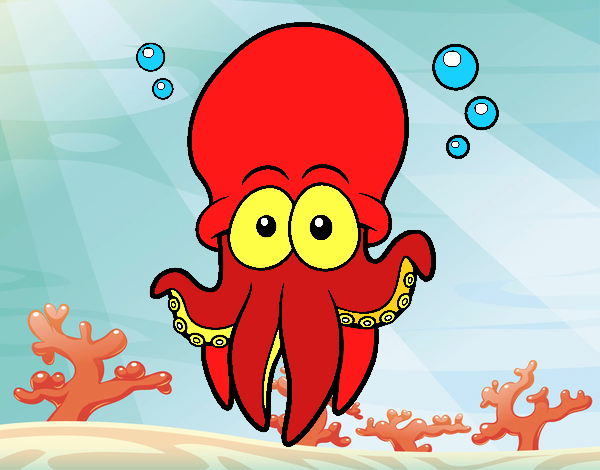 Pulpo rojo