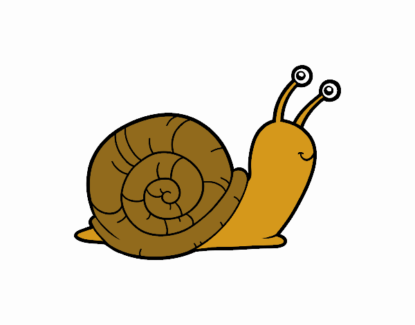 Un caracol