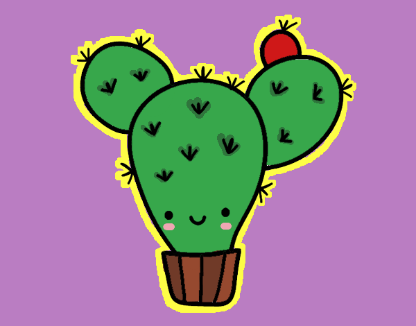 Cactus nopal