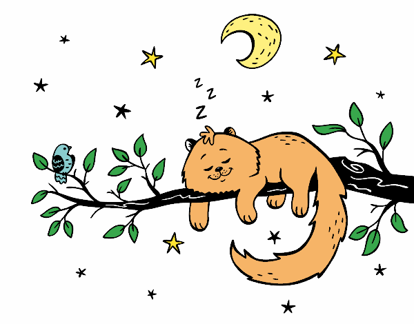 El gato y la luna