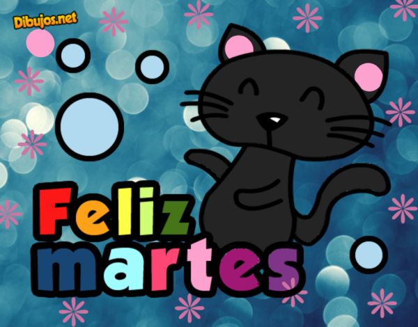 El mejor gato martes