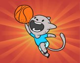 Gato jugando a baloncesto