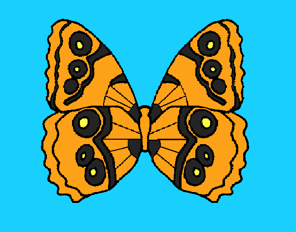 Mariposa 1a